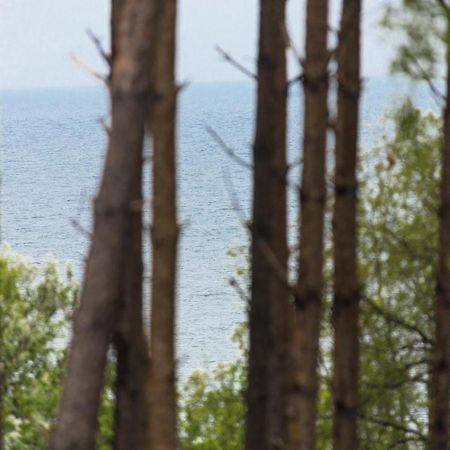 Palicki - Apartamenty Z Widokiem Na Morze Rewal Εξωτερικό φωτογραφία